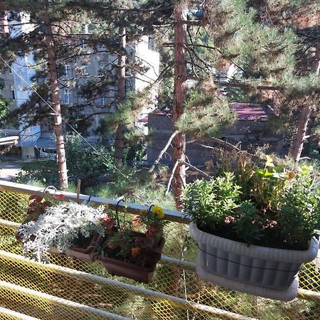 Londa Apartman Borzsomi Kültér fotó