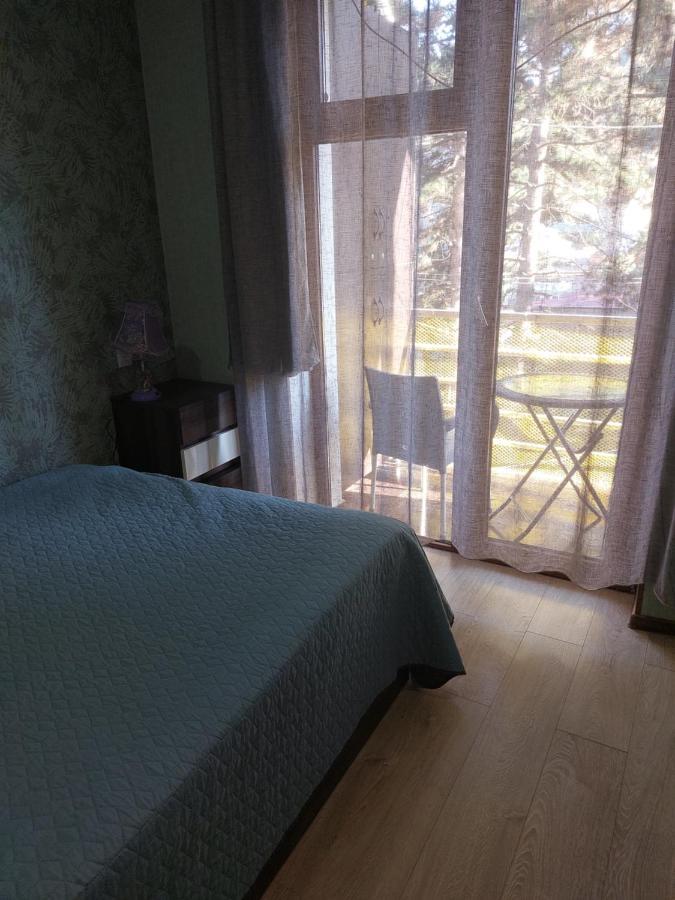 Londa Apartman Borzsomi Kültér fotó